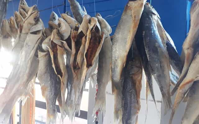 8d8a0538_3cfb_459f_be53_95c0ac09bf46_1765531509 8d8a0538_3cfb_459f_be53_95c0ac09bf46_1765531509