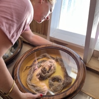 Bbos Art Gallery and Café - ART - Xplorio™ Gansbaai