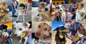 December's SteriThon was a winner!!