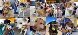 December's SteriThon was a winner!!