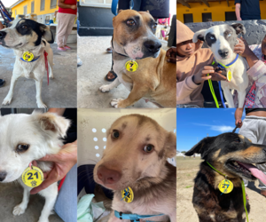 December's SteriThon was a winner!!