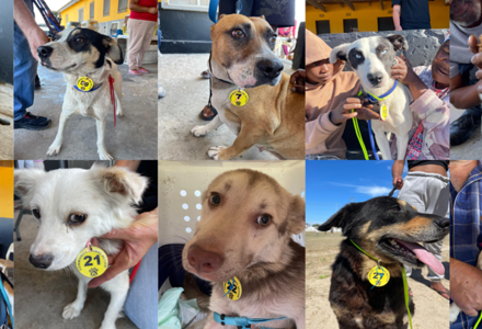 December's SteriThon was a winner!!