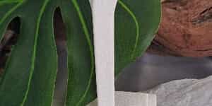 WhatsApp_Image_2025_12_17_at_08.34.22_2_1765954342