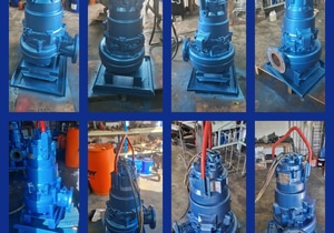 Servicing and Restoring Pumps from Kromco