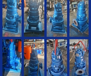 Servicing and Restoring Pumps from Kromco