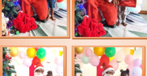 Pikkewyntjies / Penguinkidz November / December 2025 Newsletter