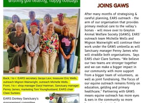 Have You Heard? Latest News from EARS Donkey Sanctuary