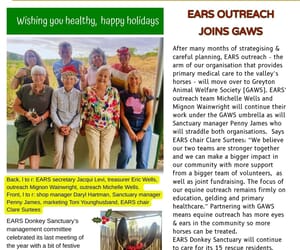 Have You Heard? Latest News from EARS Donkey Sanctuary