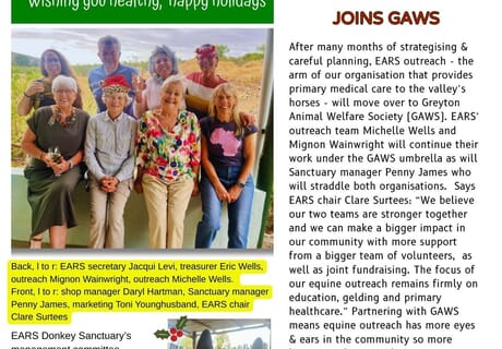 Have You Heard? Latest News from EARS Donkey Sanctuary