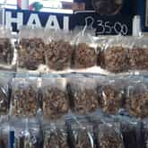 Haai - Gansbaai Vismark - Xplorio™