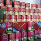 Pilchards - Gansbaai Vismark - Xplorio™