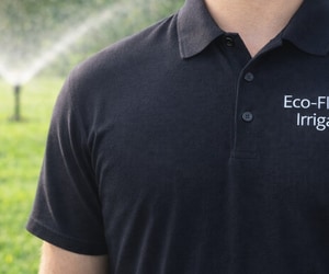 Keep Your Garden Green This Summer