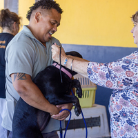 Rescue Organisation - Fostering Animals - Xplorio™ Gansbaai