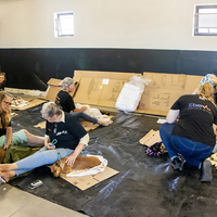 Rescue Organisation - Fostering Animals - Xplorio™ Gansbaai