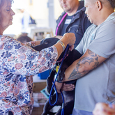 Rescue Organisation - Fostering Animals - Xplorio™ Gansbaai