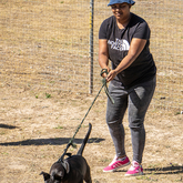 Rescue Organisation - Fostering Animals - Xplorio™ Gansbaai
