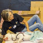 Rescue Organisation - Fostering Animals - Xplorio™ Gansbaai