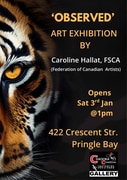 3 January 2026: Observed Art Exhibition by Caroline Hallat