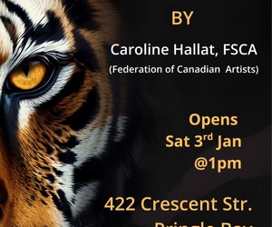 3 January 2026: Observed Art Exhibition by Caroline Hallat