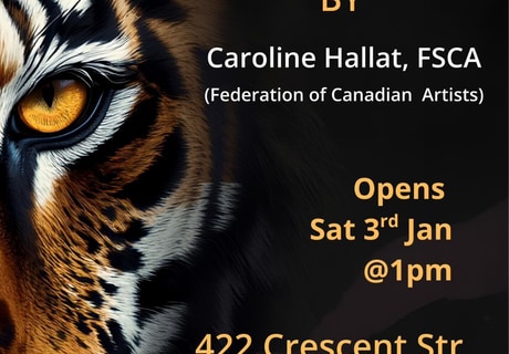 3 January 2026: Observed Art Exhibition by Caroline Hallat