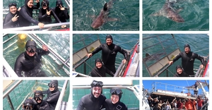 Daily Blog: 04 January 2026 | Shark Cage Diving in South Africa