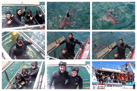 Daily Blog: 04 January 2026 | Shark Cage Diving in South Africa