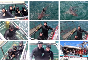 Daily Blog: 04 January 2026 | Shark Cage Diving in South Africa