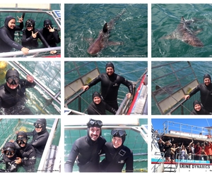 Daily Blog: 04 January 2026 | Shark Cage Diving in South Africa