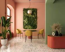 Refresh Your Space with Wilkoo