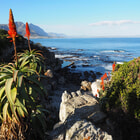 Hermanus Cliff path - Africansunroad - Xplorio™ Hermanus