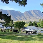 High Season Farm - Africansunroad - Xplorio™ Hermanus