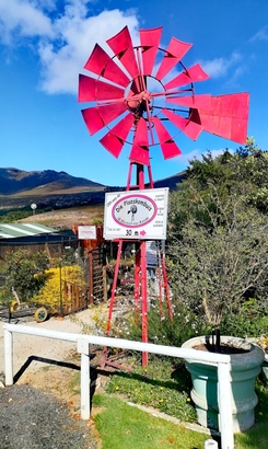 IMG_20260106_093747_resized_20260106_093758556_1__1768816532