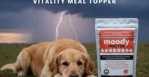 Moody Master - Calm Drizzle