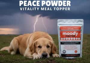 Moody Master - Calm Drizzle