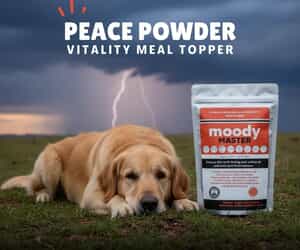 Moody Master - Calm Drizzle