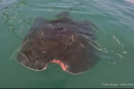 618798194_18544993063030073_3664149526396835552_n_1769158470