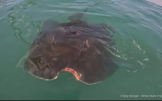 618798194_18544993063030073_3664149526396835552_n_1769158470