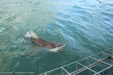 619255806_18544993072030073_215947867101443515_n_1769158470