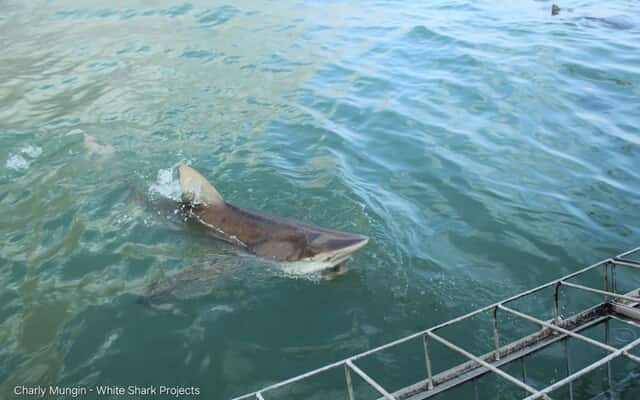 619255806_18544993072030073_215947867101443515_n_1769158470