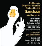 GGAP THANKS XPLORIO!