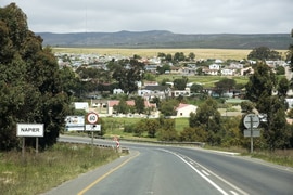 Buying Local, It Strengthens the Whole Community