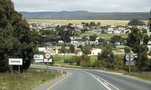 Buying Local, It Strengthens the Whole Community