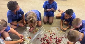 Graad 2 van Laerskool Gansbaai Begin Clivia-Kweekprojek