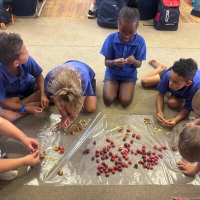 Graad 2 van Laerskool Gansbaai Begin Clivia-Kweekprojek