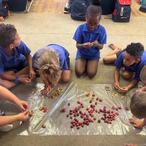 WhatsApp_Image_2026_01_30_at_08.09.17_1769754467