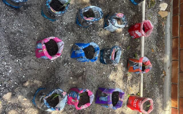 WhatsApp_Image_2026_01_30_at_08.09.19_1_1769754470