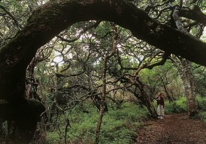 Magical May - Mid Week Update