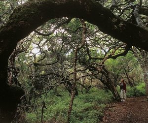 Magical May - Mid Week Update