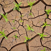 Revolution Chapter 7: The Early Reforms