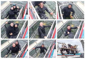 Daily Blog: 03 February 2026 | Shark Cage Diving in South Africa